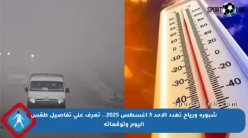 شبورة ورياح تهدد الأحد 3 أغسطس 2025.. تعرف على تفاصيل طقس اليوم وتوقعاته